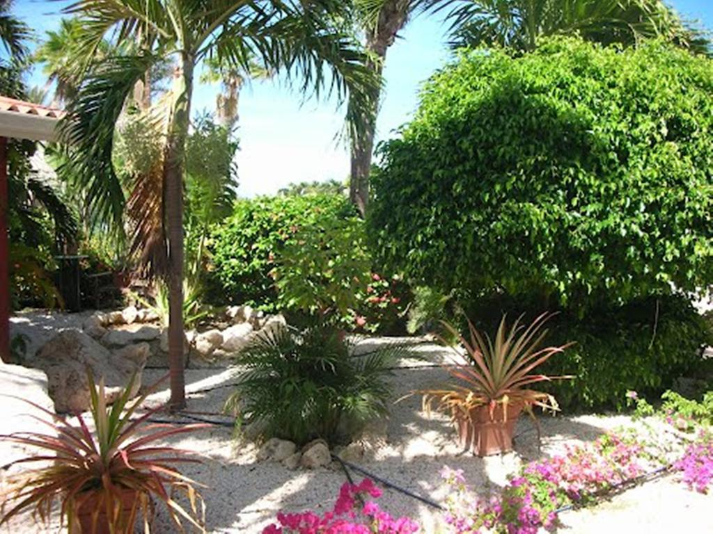 Seru Coral Resort Studio 16 Willemstad Exteriör bild